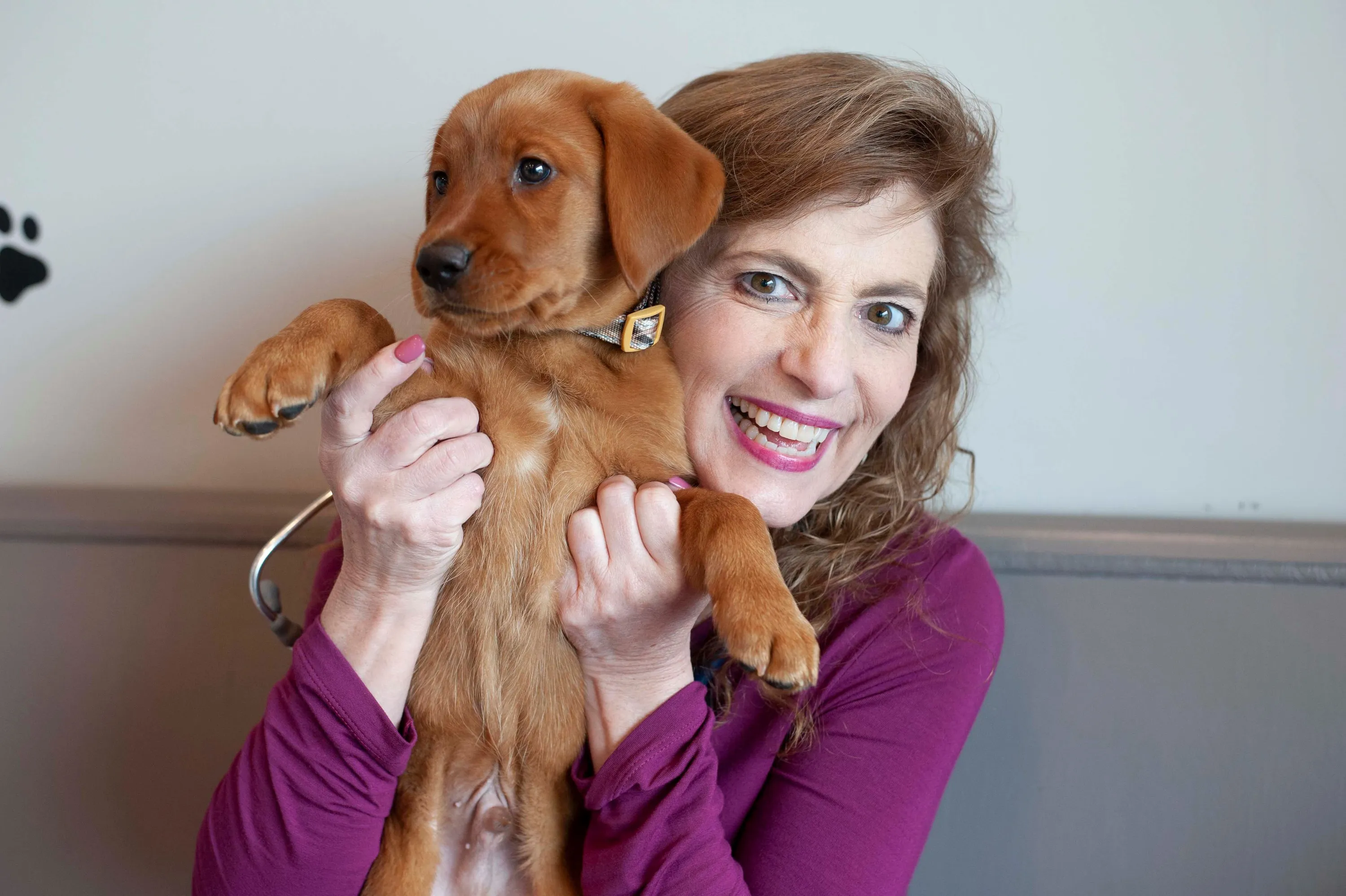 Dr. Karen Hamilton