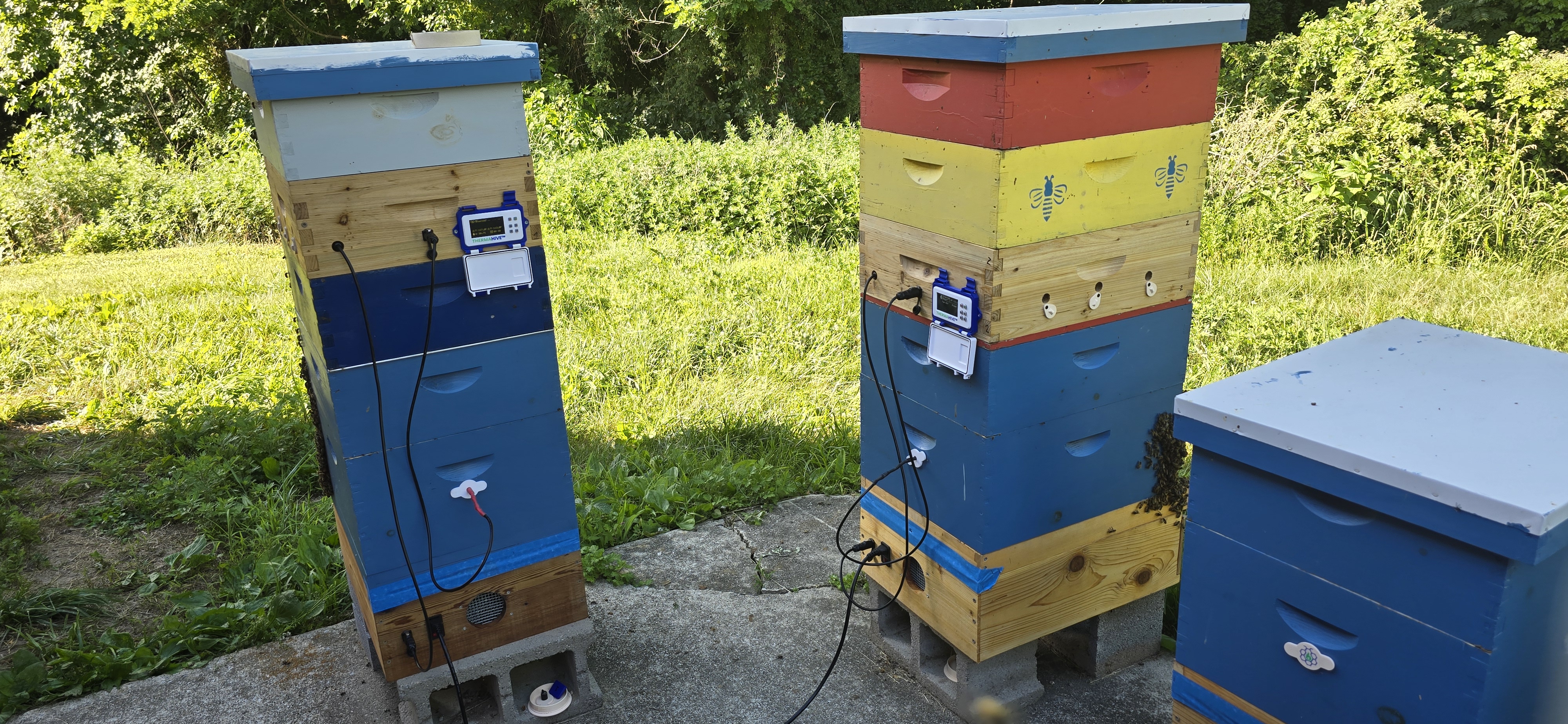 Two brightly painted beehives outdoors, actively being treated with mounted ThermaHive V1 thermotherapy units.