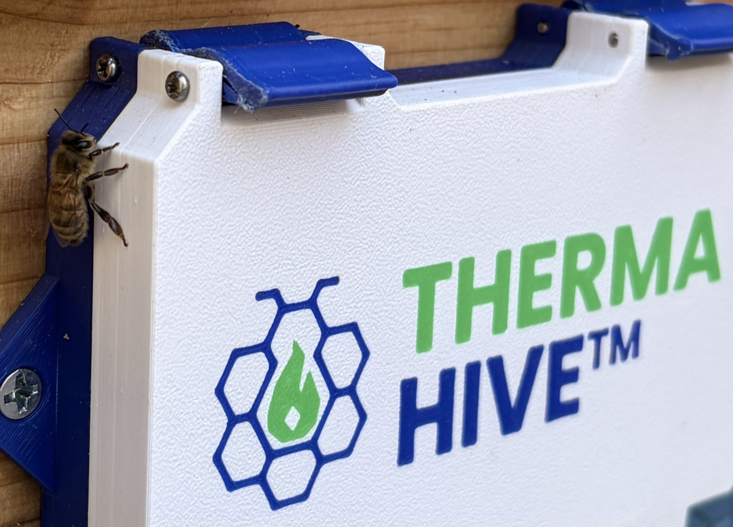 ThermaHive looking forward