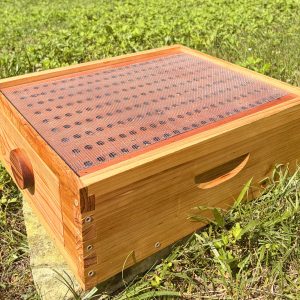 An outdoor close-up of the wooden ThermaHive V2 bottom treatment box resting on the grass with its solid blank insert installed