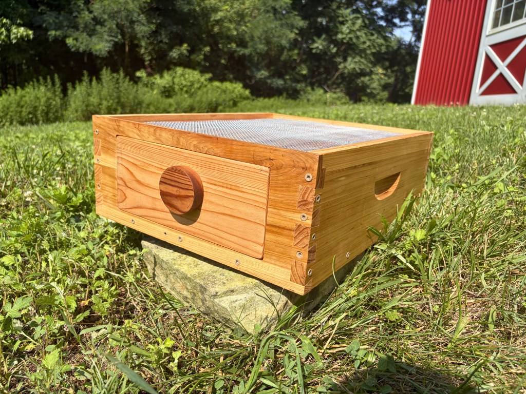 A product view of the isolated ThermaHive V2 bottom treatment box with the solid wood blank insert installed.