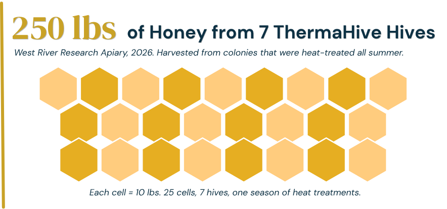 250 lbs of honey from 7 ThermaHive hives, West River Research Apiary, 2026, harvested from colonies that were heat-treated all summer. Honeycomb graphic: each cell is 10 lbs, 25 cells, 7 hives, one season of heat treatments.