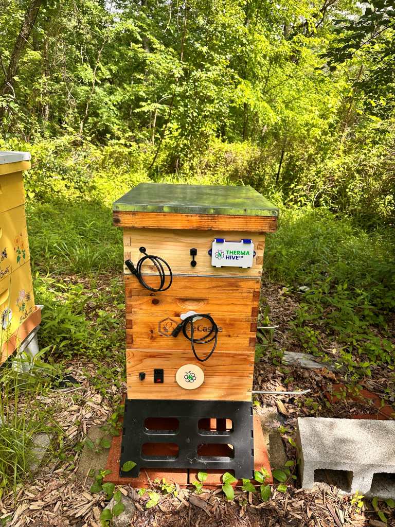A ThermaHive V1 on a hive in a wooded yard, with the controller lid on the upper box, coiled cables, and the heater box at the base.