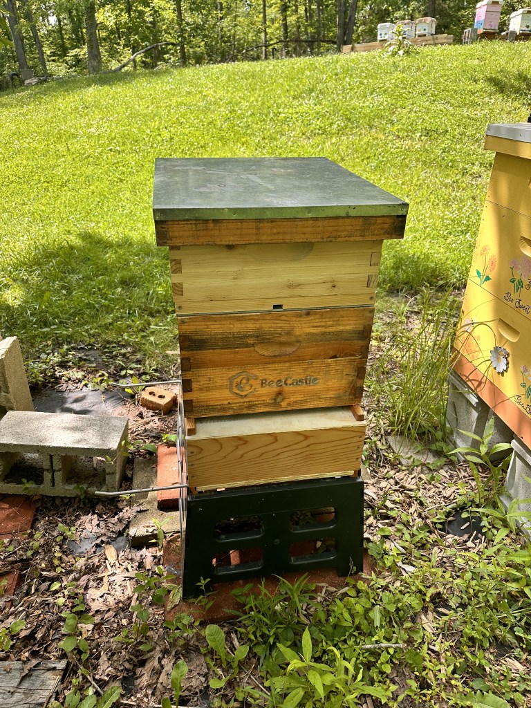 The front of a hive stack on a stand, with the rest of the yard on the slope behind it.